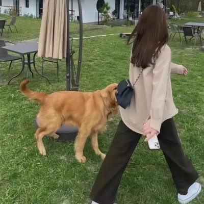 我的家庭婚礼